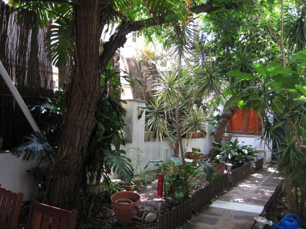 Hostal Las Acacias Málaga Eksteriør billede